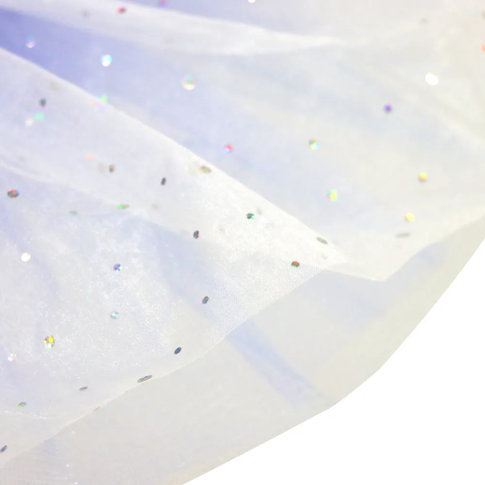 Disney Frozen Elsa's Destiny Sparkly Sequin Tutu