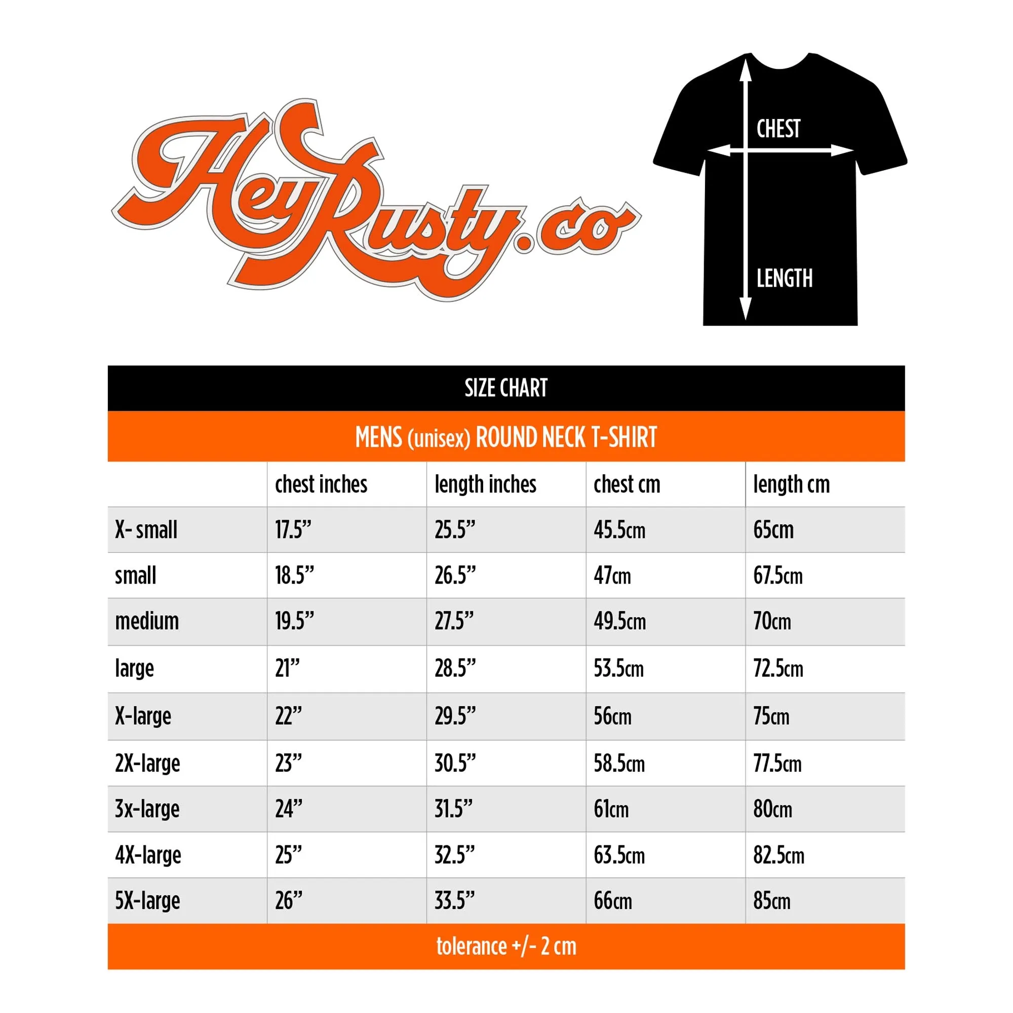 Jimi Hendrix | Official Band T-Shirt | Swirly Text