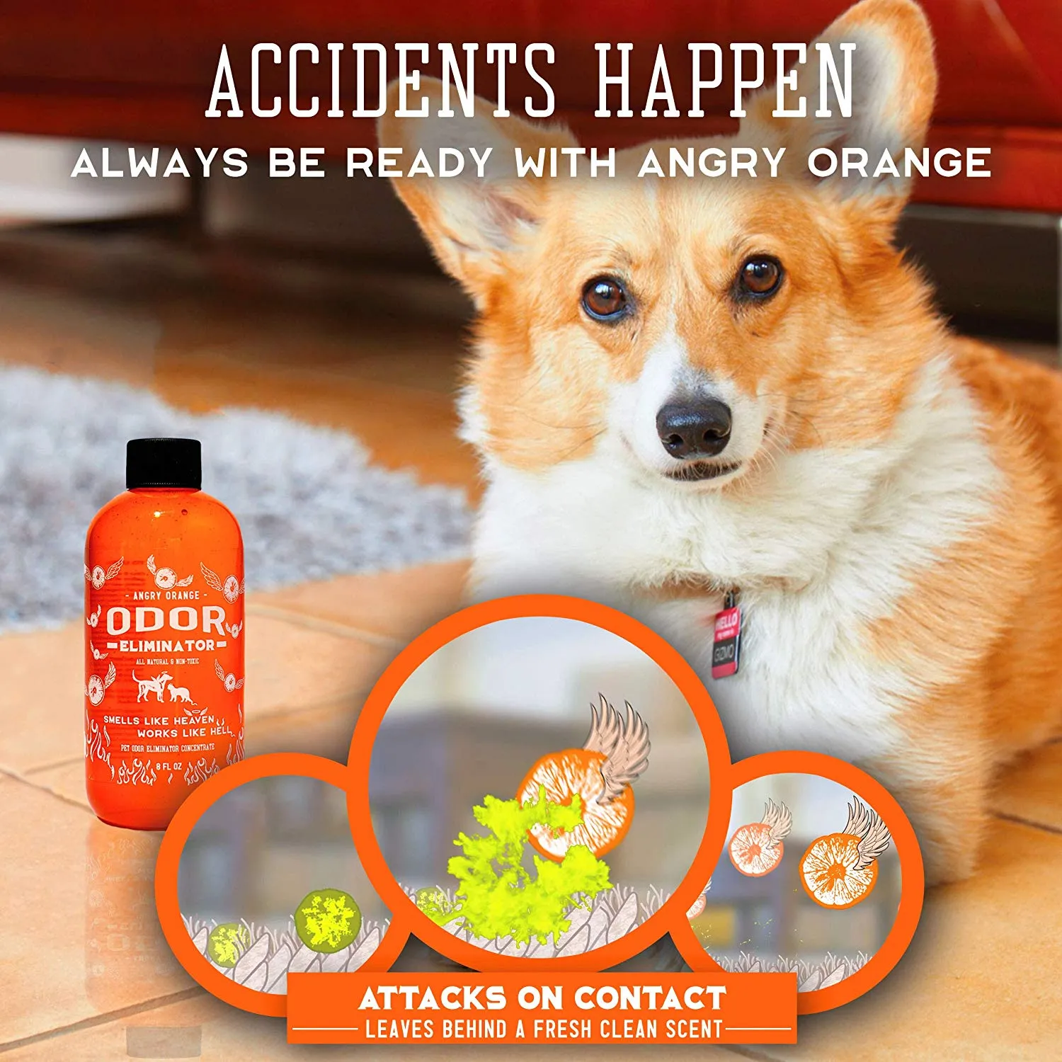 Pet Odor Eliminator