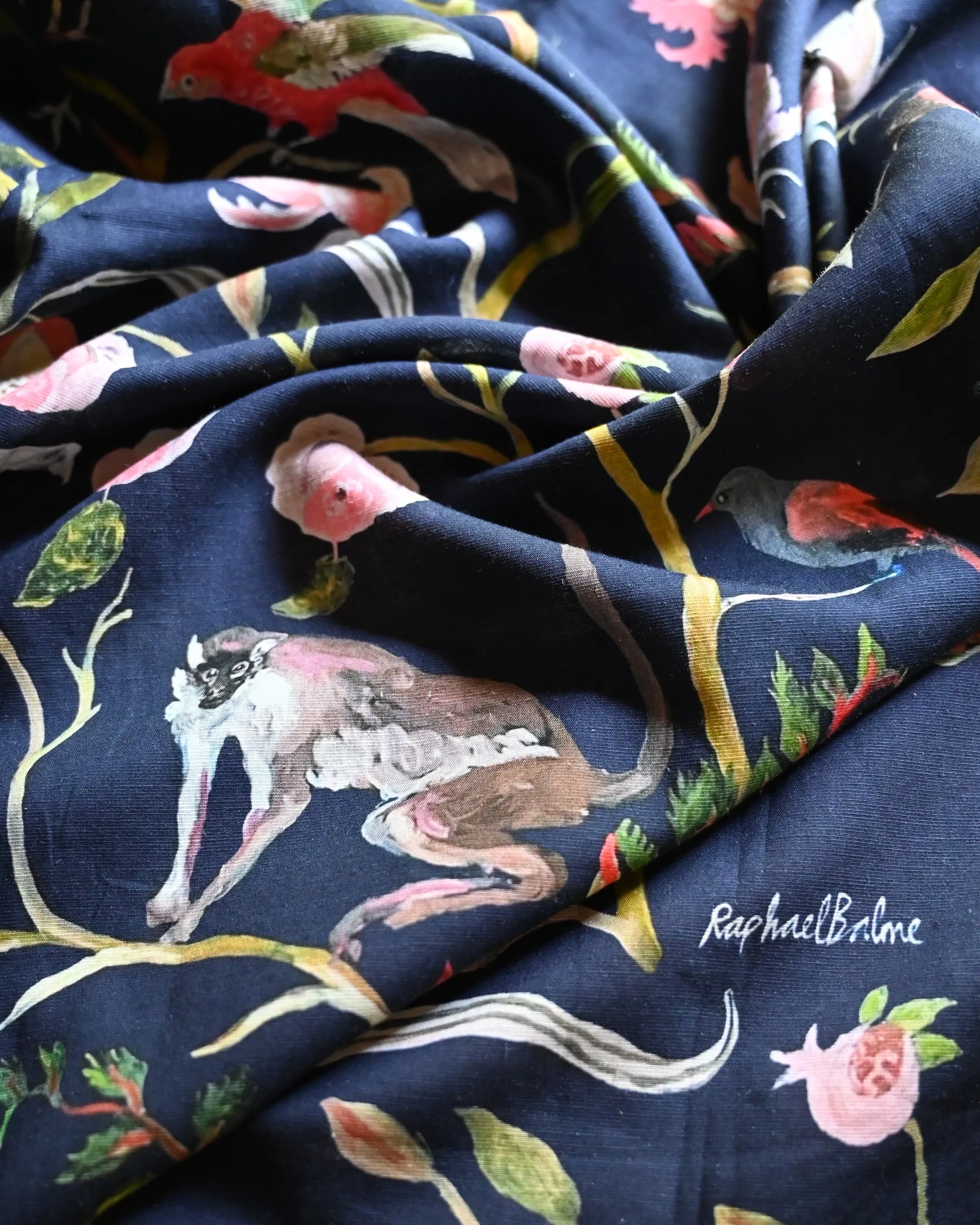 Raphael Balme Shirt | Navy