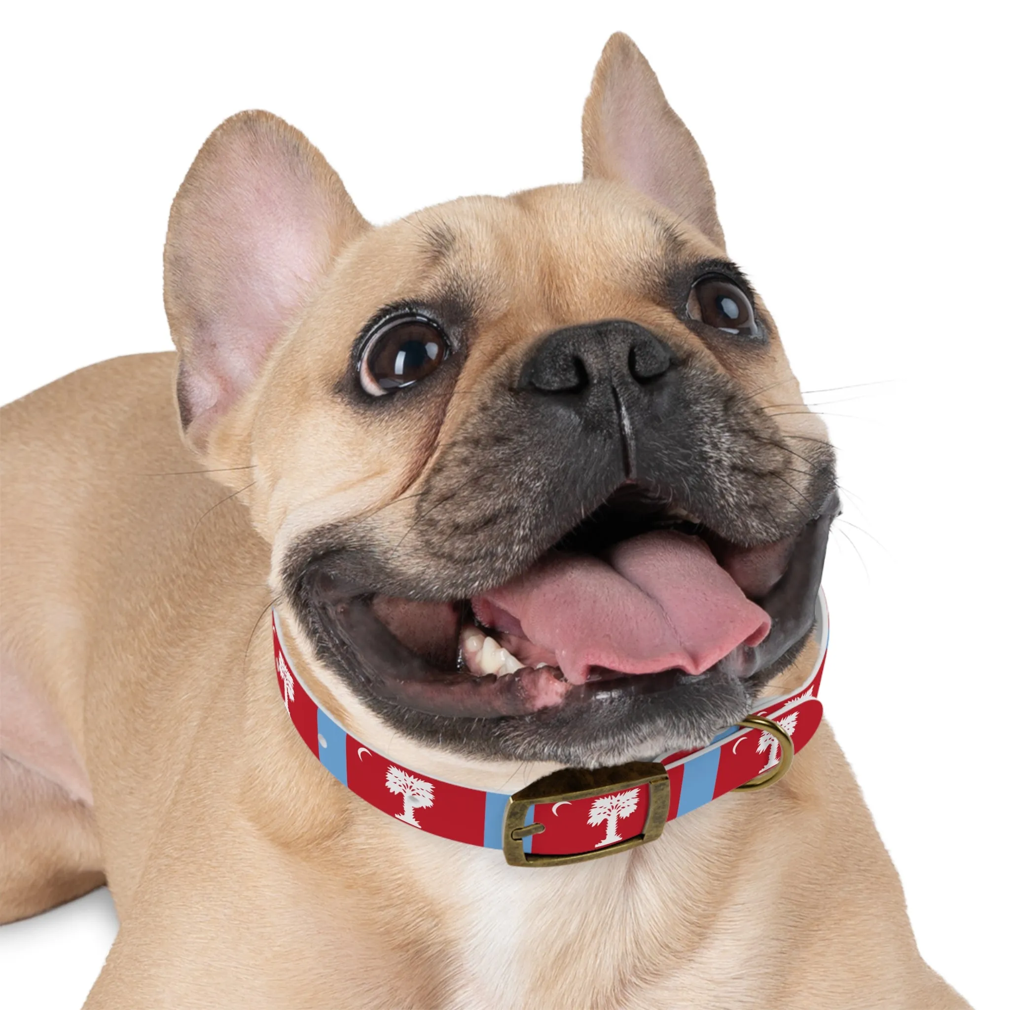 The Citadel, Big Red Dog Collar