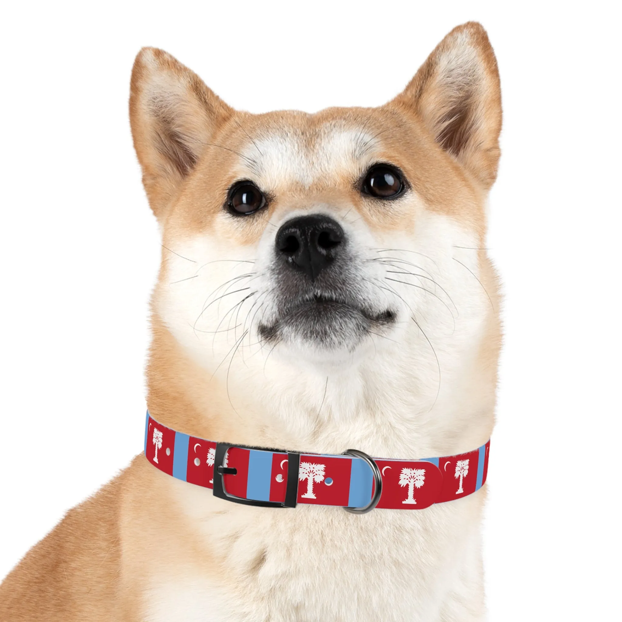 The Citadel, Big Red Dog Collar