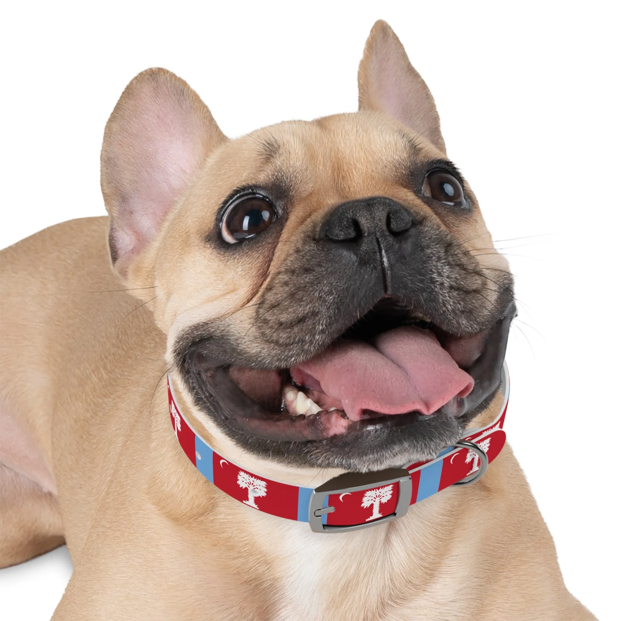 The Citadel, Big Red Dog Collar