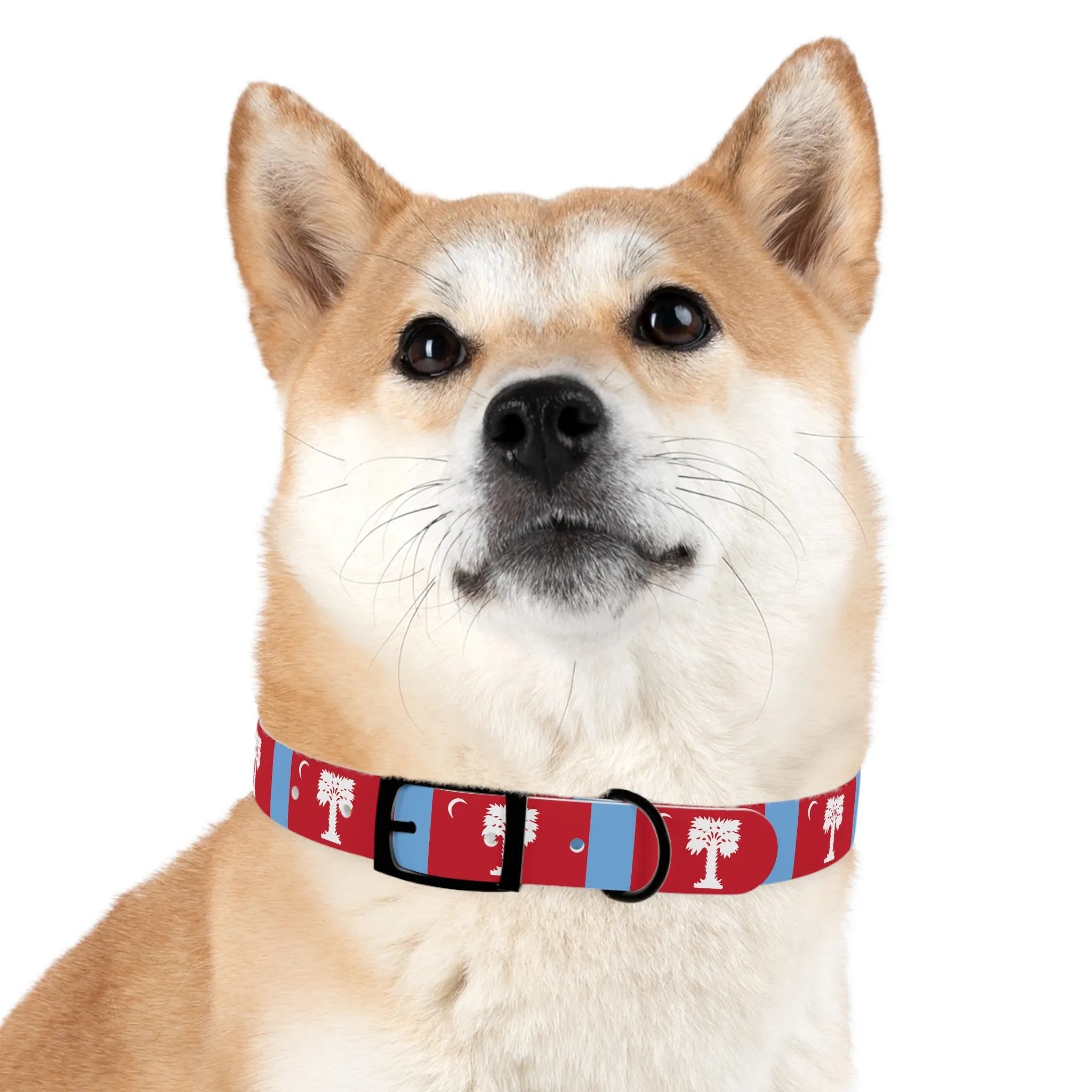 The Citadel, Big Red Dog Collar