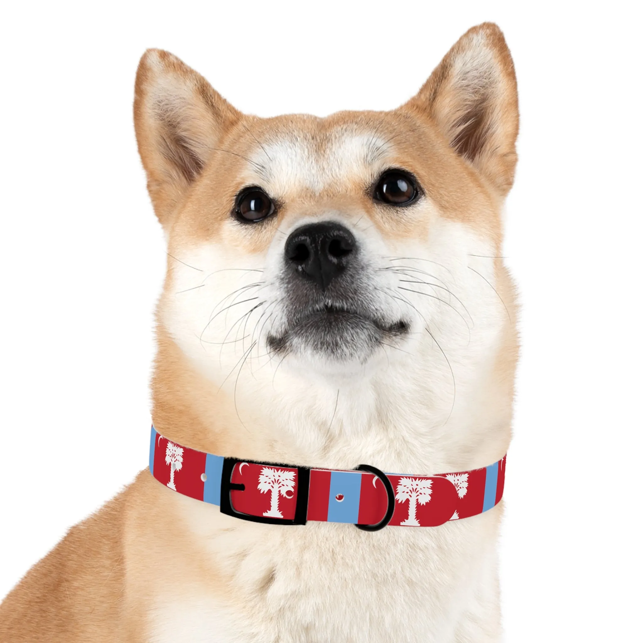 The Citadel, Big Red Dog Collar