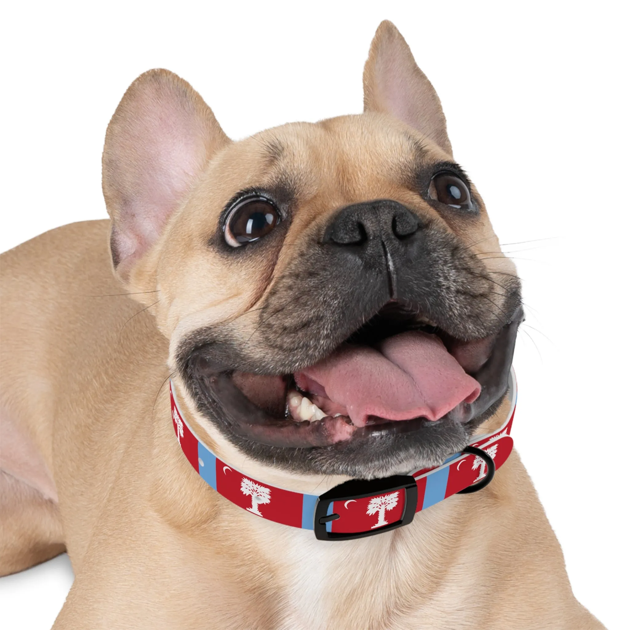 The Citadel, Big Red Dog Collar
